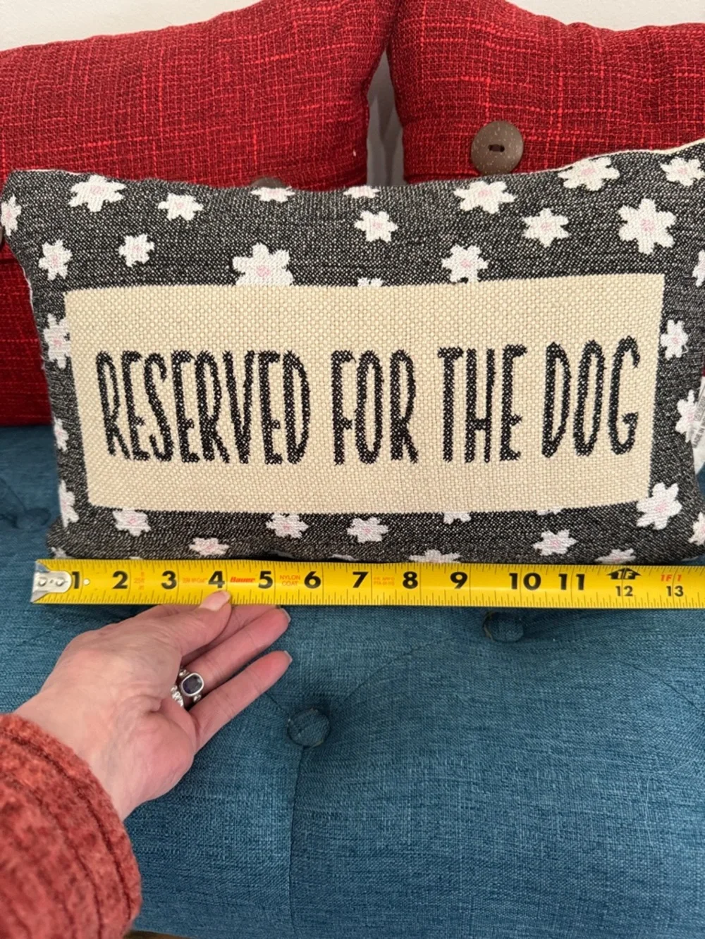 Reserved For The Dog-Black, Cream, Pink Floral Accent Pillow